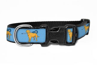 Kooper's Lacrosse Dog Collar