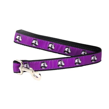 natty boh leash