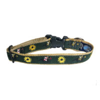 Off to the Races Dog Collar