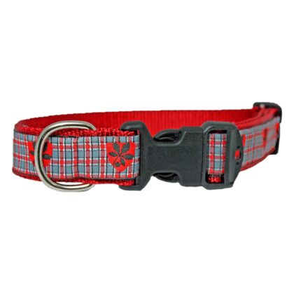 Buckeye Tartan Dog Collar
