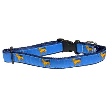 Kooper's Lax Dog Collar